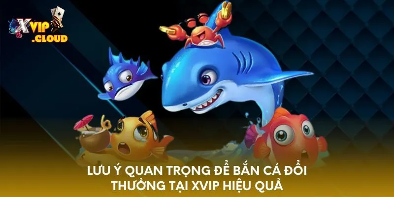 luu-y-quan-trong-de-ban-ca-doi-thuong-tai-xvip-hieu-qua